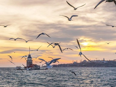 Душевная прогулка по Стамбулу: от мечетей до хипстеров