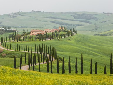 Та самая Тоскана: вино в замке Кьянти и пейзажи