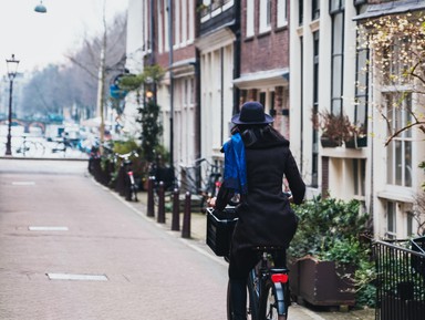 Амстердам: инструкция по применению