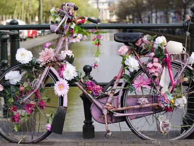 Амстердам — велосипедная столица Европы