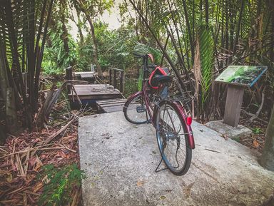 Велотур по джунглям Банг Крачао