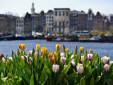 Амстердам пешком и на кораблике!