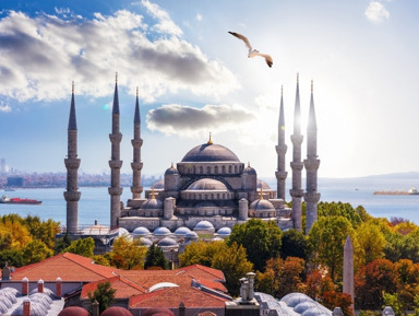 Поездка в Стамбул на один день 