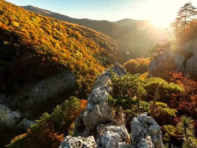 Большой каньон: осени крымской цветной палантин