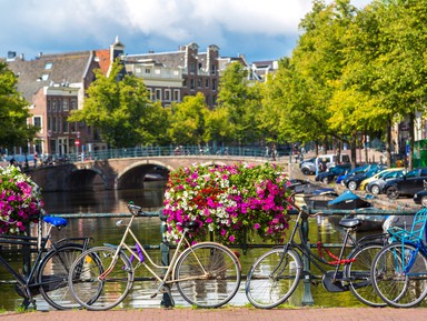 Велопрогулка по Амстердаму: влюбиться в город за три часа