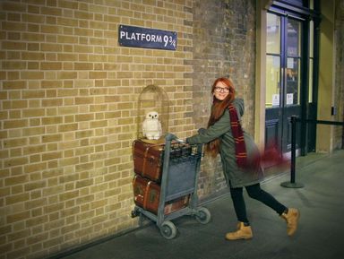 По следам Гарри Поттера в Лондоне!