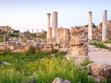 Саламин — Фамагуста. Античный, средневековый и современный Кипр (из Айя-Напы)