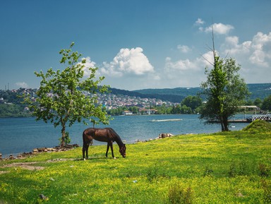 Из Стамбула — на озеро Сапанджа!