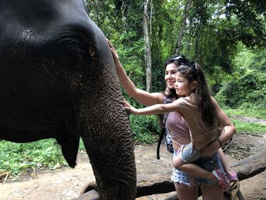 Эко-тур в питомник слонов и к водопаду Хуай То