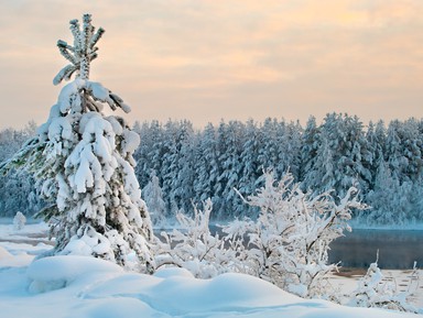 Треккинг по зимней Карелии: финский бункер и тропы лешего Хийси