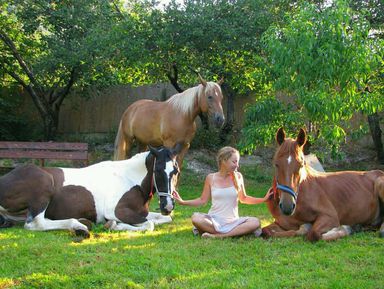 Мастер-класс общения и дружбы с лошадьми