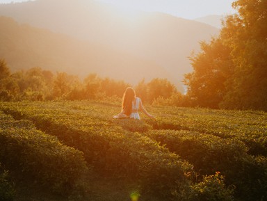 Чайные плантации Солох-Аула и долина Шахе + фотосессия
