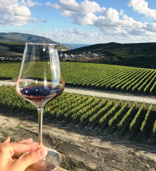 На одной широте с виноградниками Италии: по винодельням Краснодарского края