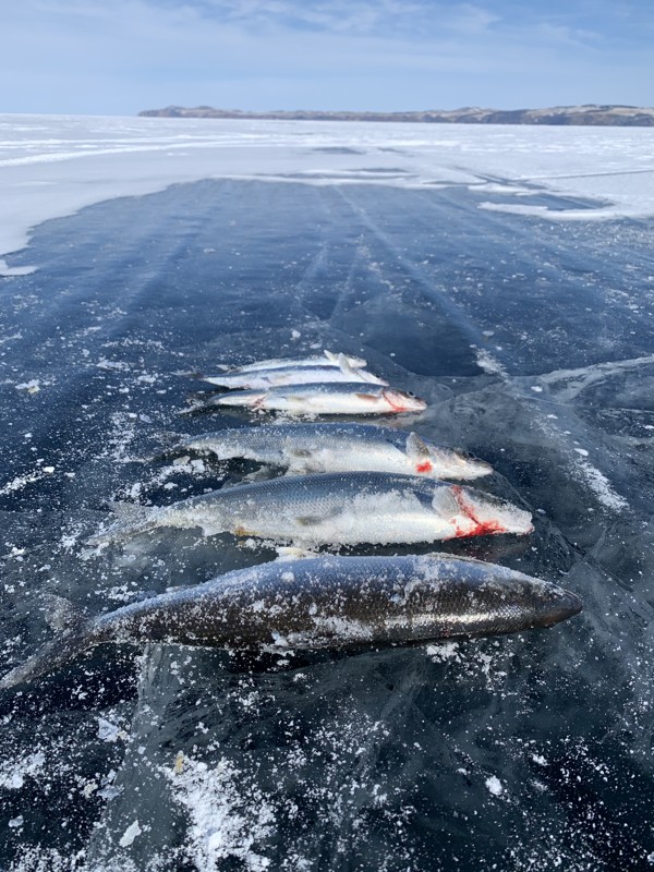 Зимняя рыбалка на острове Ольхон