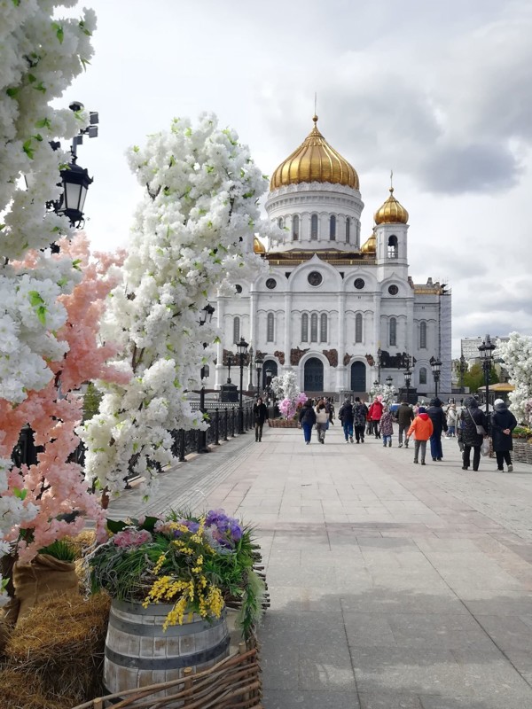 Прогулка от храма Христа Спасителя до Музеона