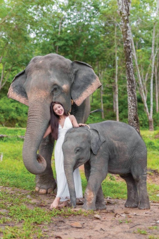 В гости к слонам (из Као Лака)