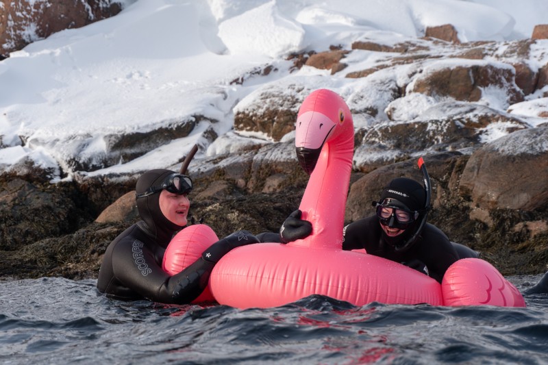 Тур-приключение в Териберку: снорклинг в Северном Ледовитом океане, киты и северное сияние