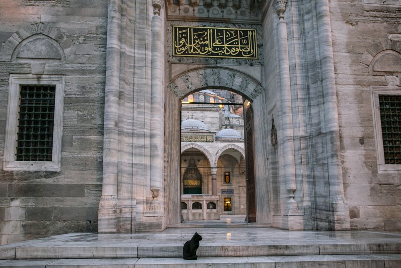 От Константинополя до Стамбула: прогулка-знакомство с городом