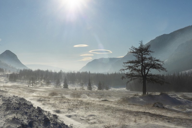 Новогодний сон Алтая