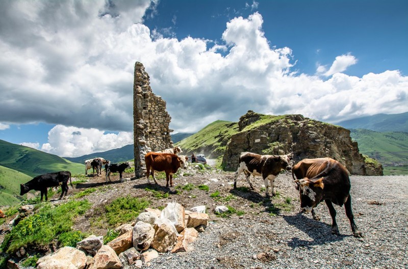 Горный край: природа и наследие Северной Осетии