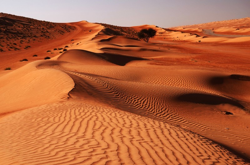 Поездка на джипе по пустыне Вахиба