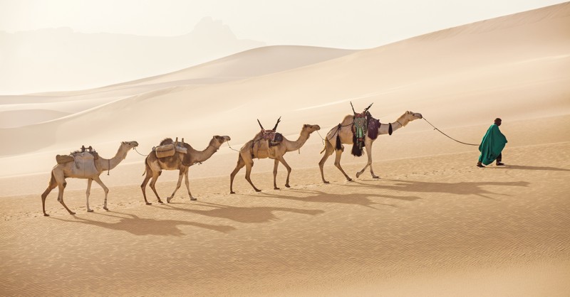 Магические пески и оазисы Сахары