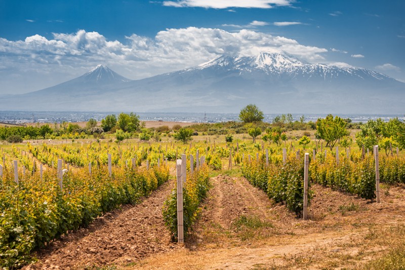 Дегустационный трип в Армению: коньяк, вино и национальная кухня
