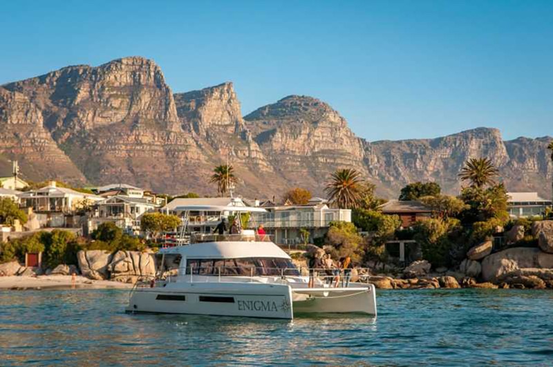 Все краски ЮАР: сафари, плавание с морскими котиками и пикник в заповеднике