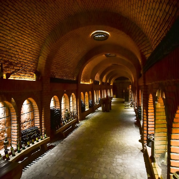 Крепости Кахетии и самый большой в мире винный туннель