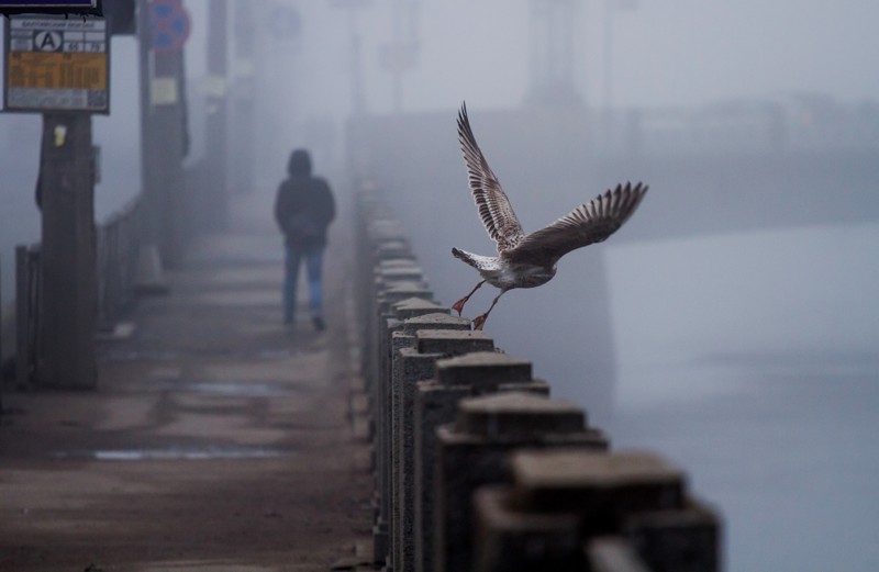 Мобильный квест в Петербурге «Зло Обводного канала» (16+)