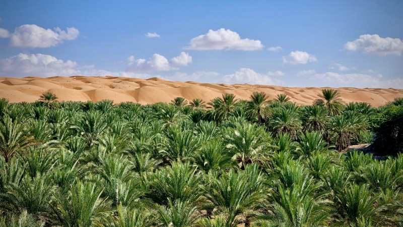 Вади Хавир и пустыня Рамлат-эль-Вахиба — активный день в Омане