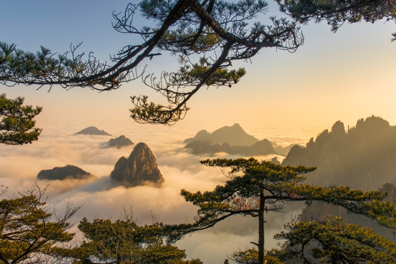 К облакам на священную гору Хуаншань: индивидуальный тур